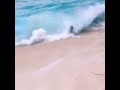 Sea Wave Wipes Off People On The Sea Coast