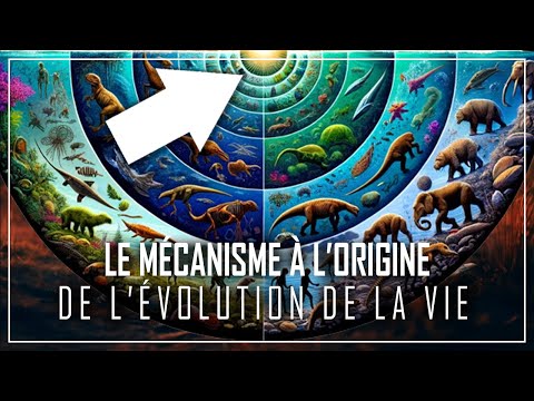 L'Histoire INCROYABLE du Mécanisme à l'ORIGINE de l'Évolution de la Vie ! | DOCUMENTAIRE 2024