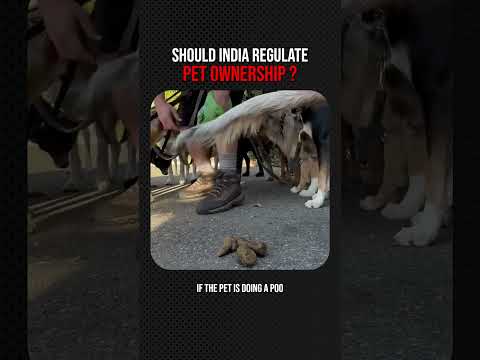 Should India Regulate Pet Ownership? #straydogs #supremecourtstraydogs #petsinmumbai