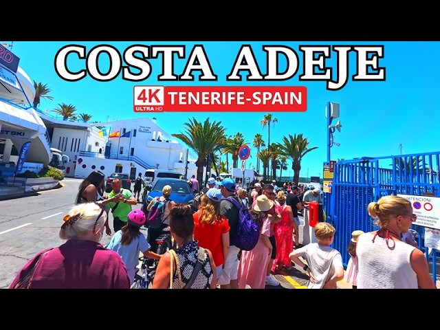 Vídeo relacionado con adrium Lienzo decorativo (80 x 50 cm), diseño de costa de la Costa Adeje, Tenerife, Islas Canarias, España (183456098)