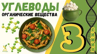 Органические вещества в питании