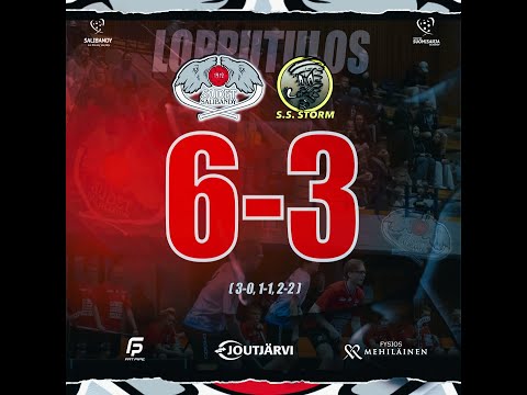 Maalikooste SUDET SB - S.S. STORM | Sudet Salibandy Kouvola