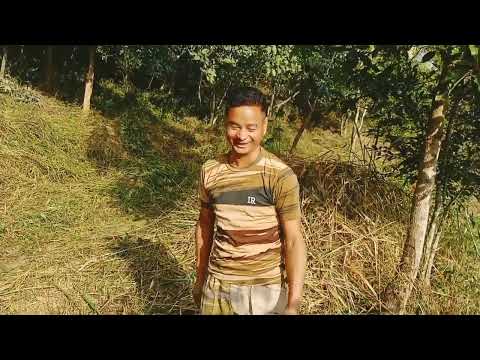 モグラを掘って飼育 |モグラによる農園破壊