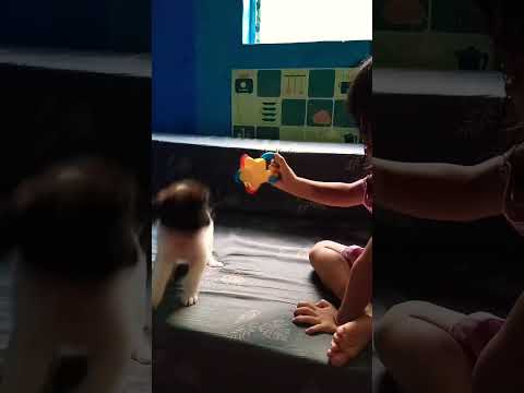 Mary rose and Tara . #cute #baby #maryrose #funny