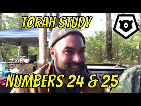No Roots, No Fruit Torah Study: Numbers 24 & 25