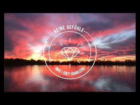 LightEyeBeatz(ZoeyScharleenRMX) - Keine Gefühle_/Sido/Samra/Capital Bra/Metrickz/Ayliva/Emmo/Anonym
