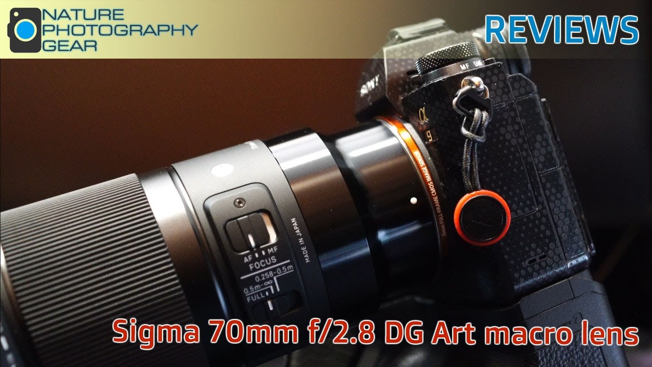 Unveiling the Results of the Epic Sigma 70mm f/2.8 DG Art Macro Lens Review!