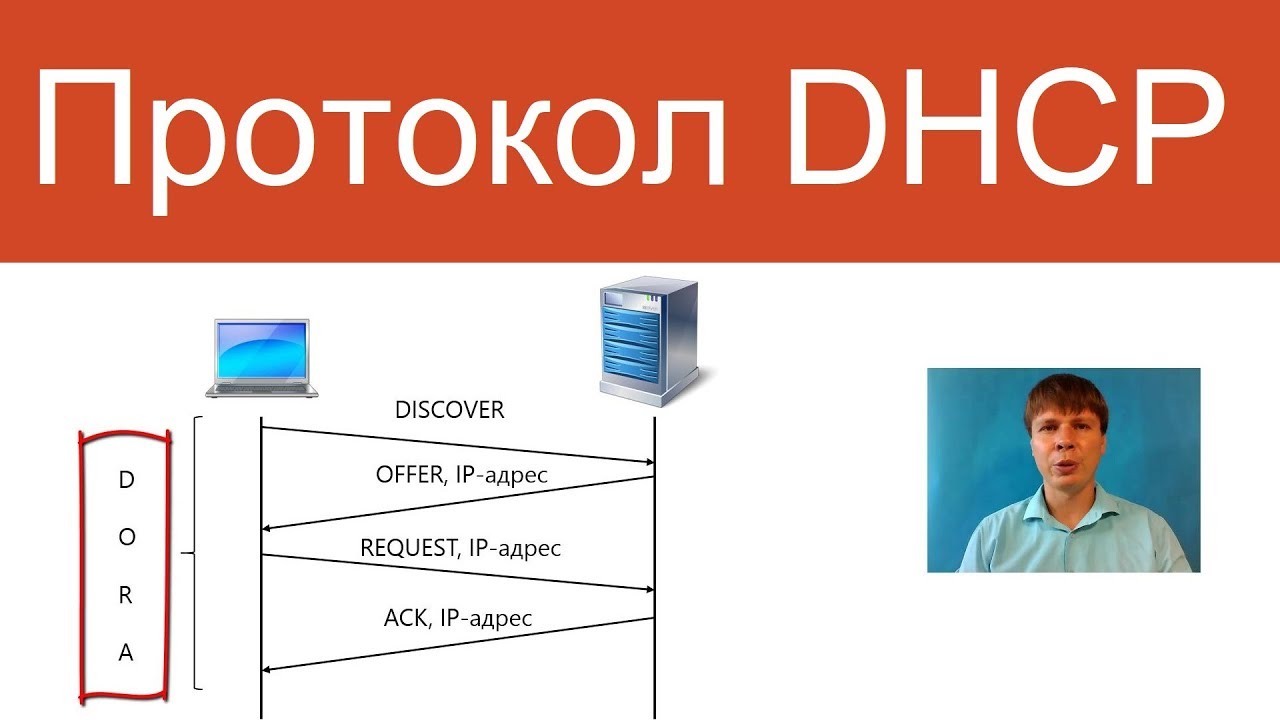 Протокол DHCP | Курс Компьютерные сети