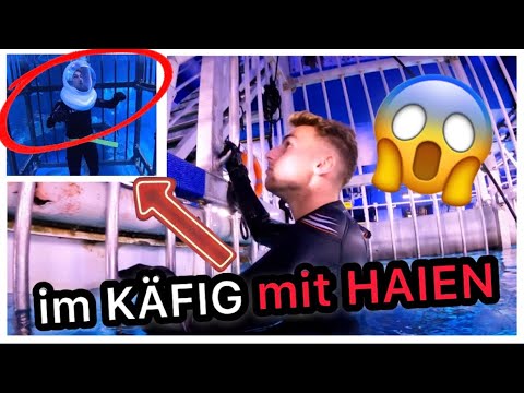 IM KÄFIG mit HAIEN tauchen😱(Angst)| JamooTv