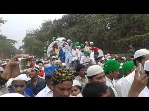 Jolus mhmdi pilkhana