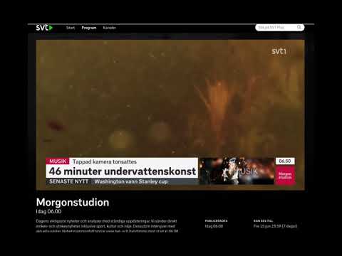 Inslag om NERW:s hybridkonst i SVT Morgonstudion