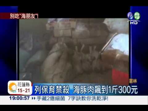 人類的海朋友下肚 直擊賣海豚肉!