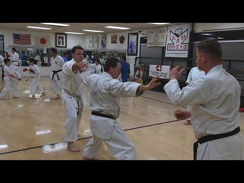 Gosoku Kata Bunkai (application)