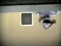 Classic Sesame Street 11 Upside Down English