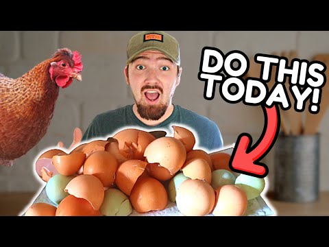 Save Your EGGSHELLS Then You Can Do This
