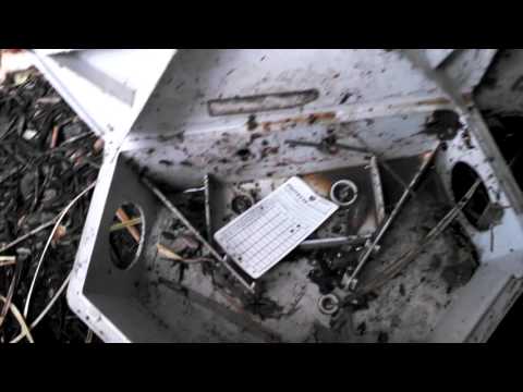 Effectiveness of Bait Stations