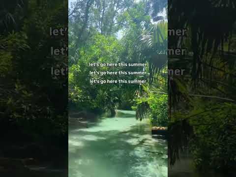 👏🏻 let’s 👏🏻 go 👏🏻to 👏🏻 rainbow 👏🏻 ✨ Plan your adventure at the link in bio Follow us →