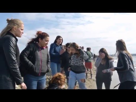 MATURITA' 2016 - "100 giorni"