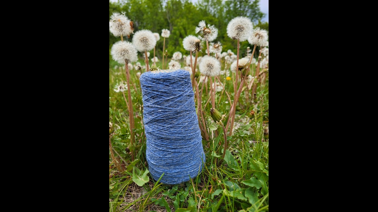 Sesia Kinture 100% shetland virgin wool