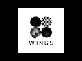 BTS Blood Sweat And Tears Instrumental