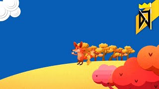 Cover art for Everything