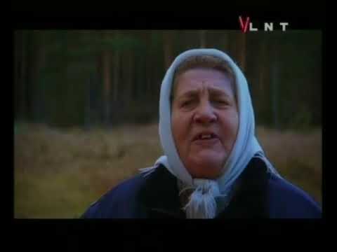 Filma "Dokumentālists"