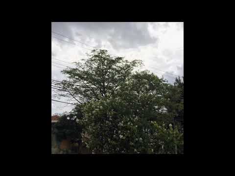 Rob x Sotam - Daríamos uma série