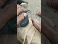 Ya Junglee Kabootar Dana Nahi Khah Sakta Tha Shorts
