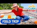 Let S Go To The Beach Caitie S Classroom Field Trip Outdoor Fun Videos For Kids