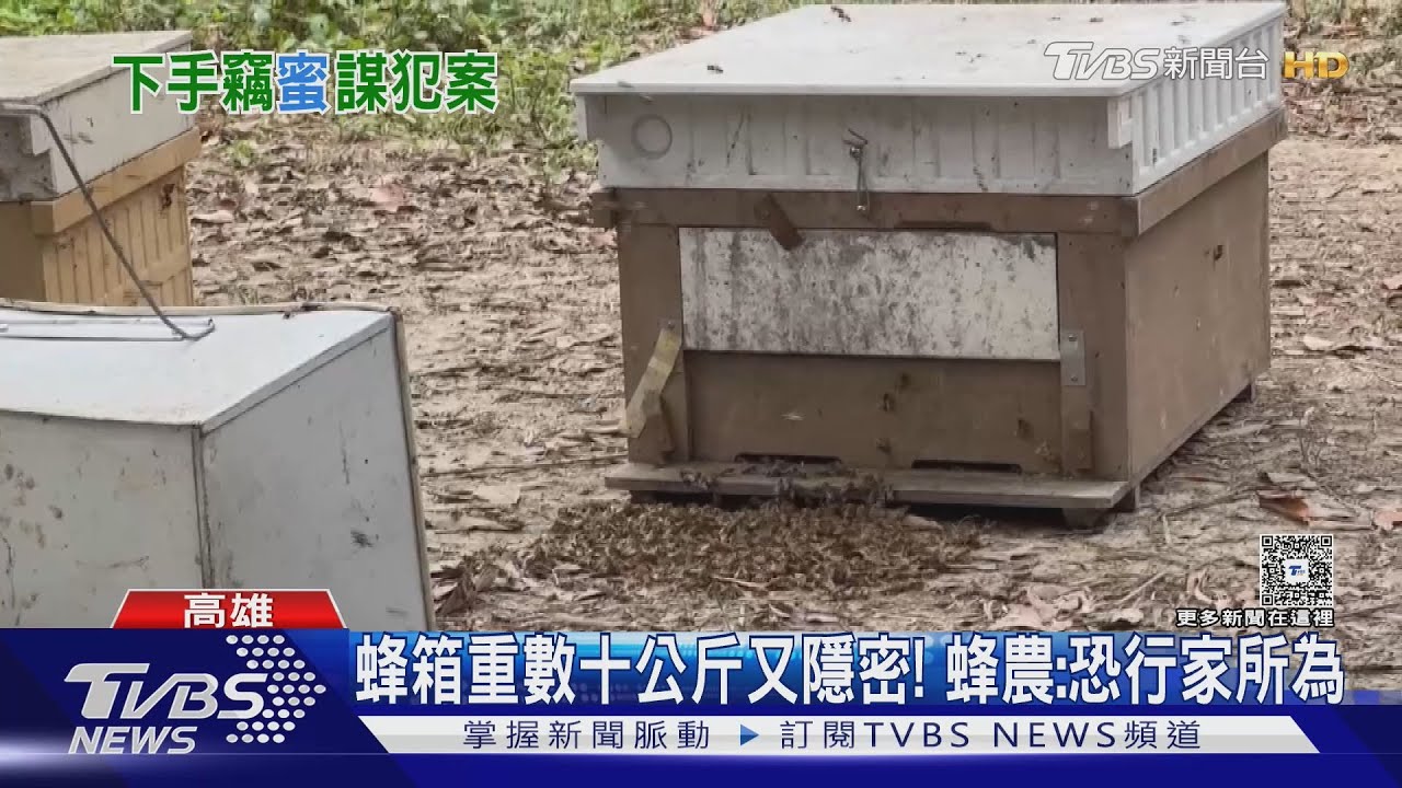 傻眼!一夜50蜂箱被偷 損失達百萬 蜂農:恐行家集團犯案