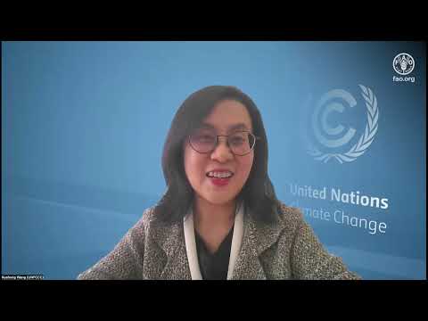 Améliorer la transparence des données forestières pour l'action climatique