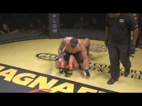 KOTC Shockwave BUCIA