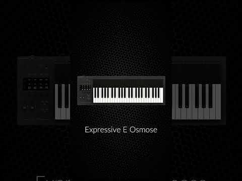 Синтезатор Expressive E Osmose