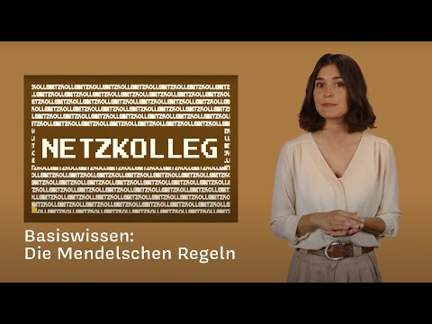 Netzkolleg Basic Knowledge – Mendel's Rules (Fundamentals of Biology)