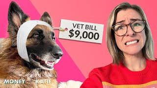 Is Pet Insurance A Scam