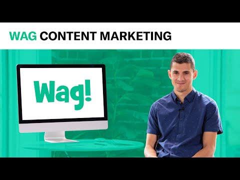 Wag's Ruff Content Strategy | Content Marketing Takedown