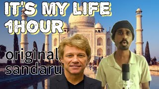 Download lagu it's my life india version 1 hour ( original sandaru ) mp3
