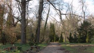 preview picture of video 'Arboretum Simeria, traseu de la pensiunea Casacriss'