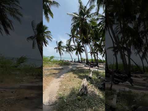 Beautiful 😍 🌊 place #shorts #short #viral #sea #beach #instagram #ytshorts #youtubeshorts