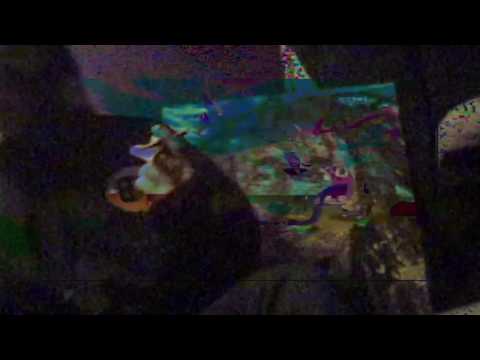 Fijiwatersplash - DOGFOOD (Music Video)