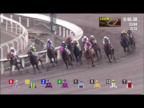 7/3/2021 (480) Moeraki - Matthew Chadwick