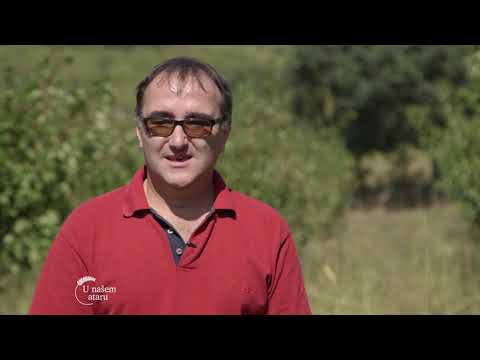 U našem ataru ep. 132 10.11.2018.