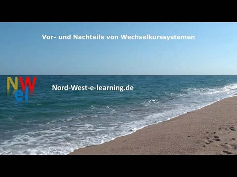 Wirtschaftslehrte: Außenhandel - Vor- und Nachteile von Wechselkurssystemen