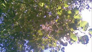 Make Me Pure (Radio Edit) - Robbie Williams