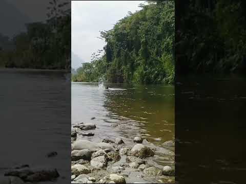 Río Arma (Aguadas Caldas) #colombia