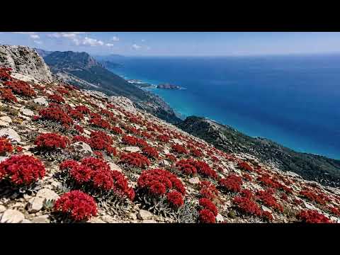 Yaşar USLU - "Ben Gidersem Ne Yaparsın Sevdam - (Enstrumantal]