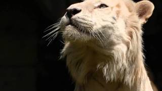 DAVID PORTER  ...   GUESS WHO     ...