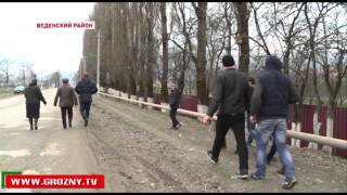 В Ведено новоселами станут 1000 птиц