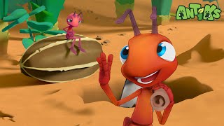 Download lagu Menanam Benih Unggul π₯π₯ | ANTIKS Indonesia | Kartun Anak | Petualangan Semut ANTIKS mp3 Download lagu Menanam Benih Unggul π₯π₯ | ANTIKS Indonesia | Kartun Anak | Petualangan Semut ANTIKS mp3