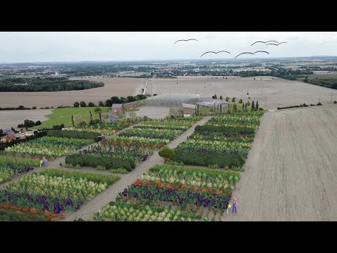 KoLa Leipzig eG: Aufbau einer der größten solidarischen Landwirtschaften Europas